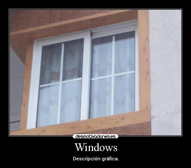 Windows -