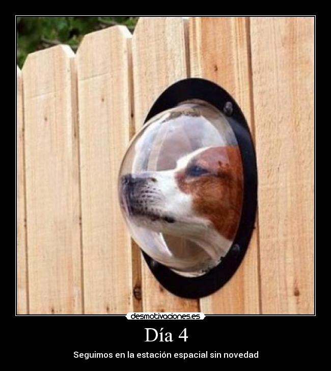 carteles perro desmotivaciones