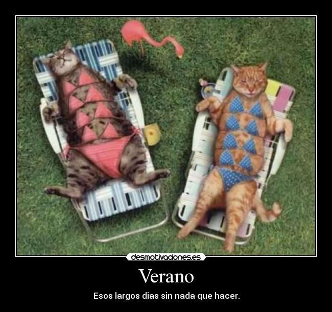 Verano - 