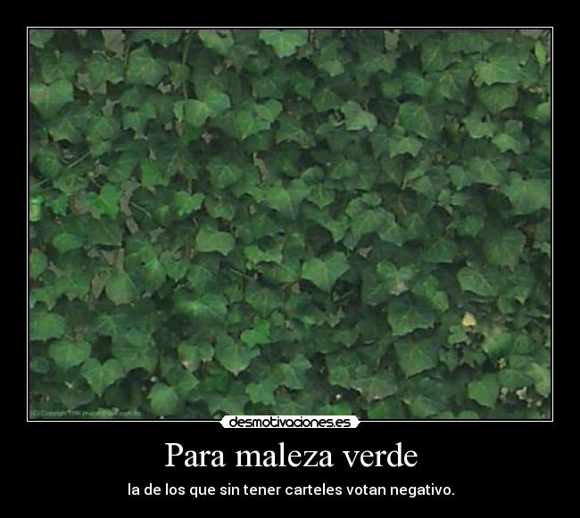 carteles maleza maldad verde trol troll planta muro cartel desmotivaciones