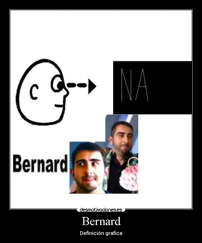 Bernard - 