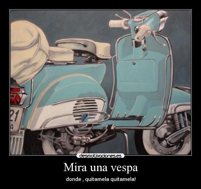 Mira una vespa - donde , quitamela quitamela!