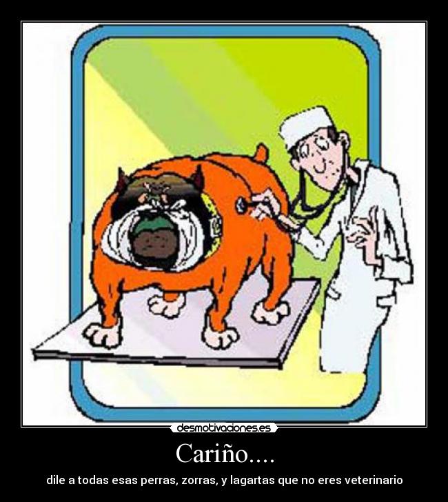 carteles veterinario carino desmotivaciones