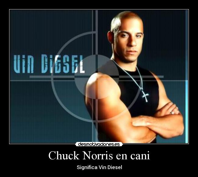 Chuck Norris en cani - Significa Vin Diesel