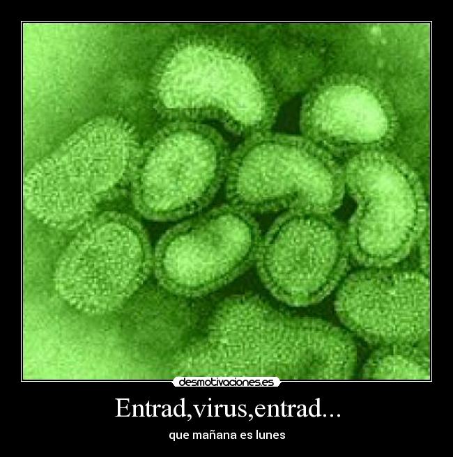 carteles virus guillari desmotivaciones