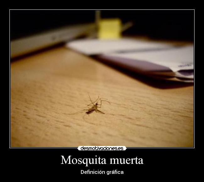 Mosquita muerta - Definición gráfica