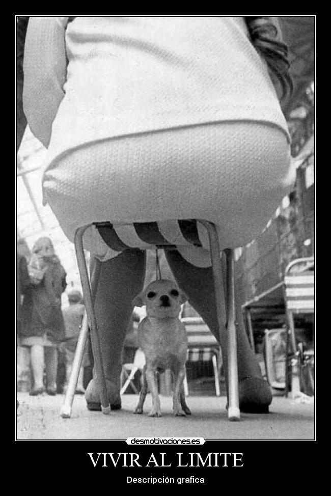 VIVIR AL LIMITE - 