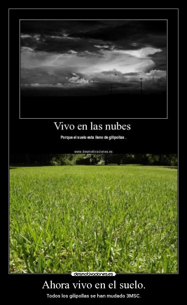 Ahora vivo en el suelo. - 