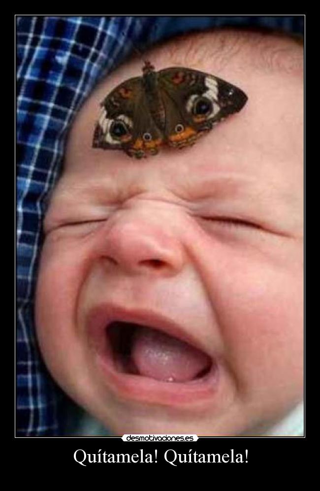 Quítamela! Quítamela! -