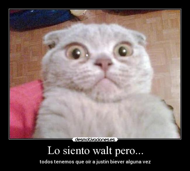 Lo siento walt pero... - todos tenemos que oír a justin biever alguna vez