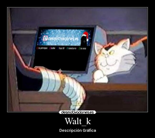 Walt_k - Descripción Gráfica