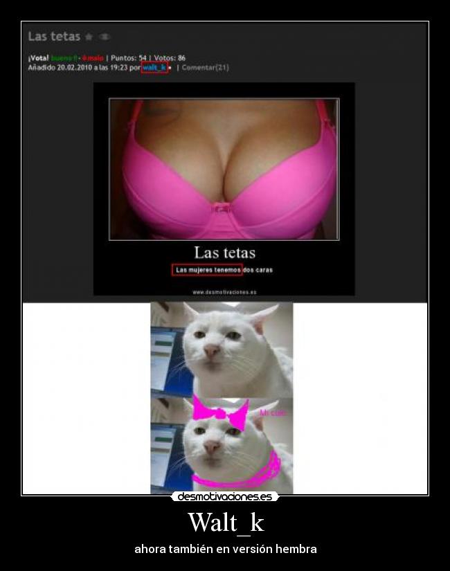 Walt_k - ahora también en versión hembra
