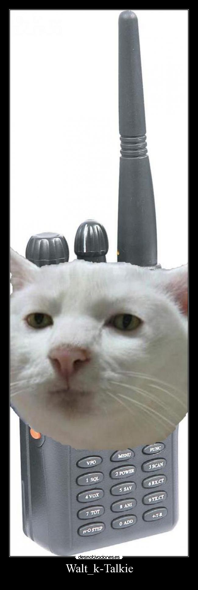 Walt_k-Talkie - 