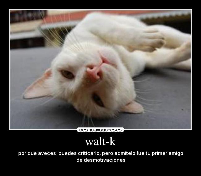 walt-k - por que aveces  puedes criticarlo, pero admitelo fue tu primer amigo
de desmotivaciones
