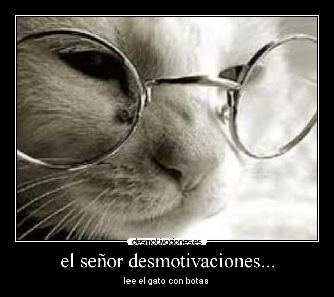 el señor desmotivaciones... - lee el gato con botas 