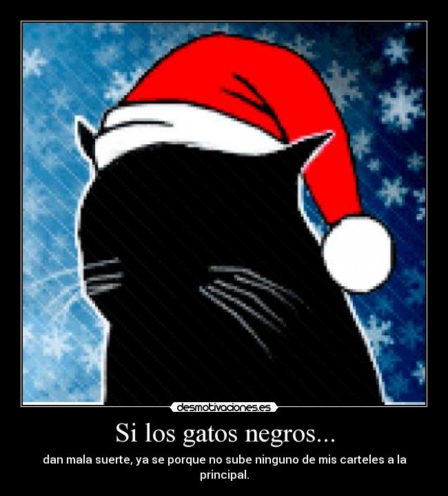 Si los gatos negros... -