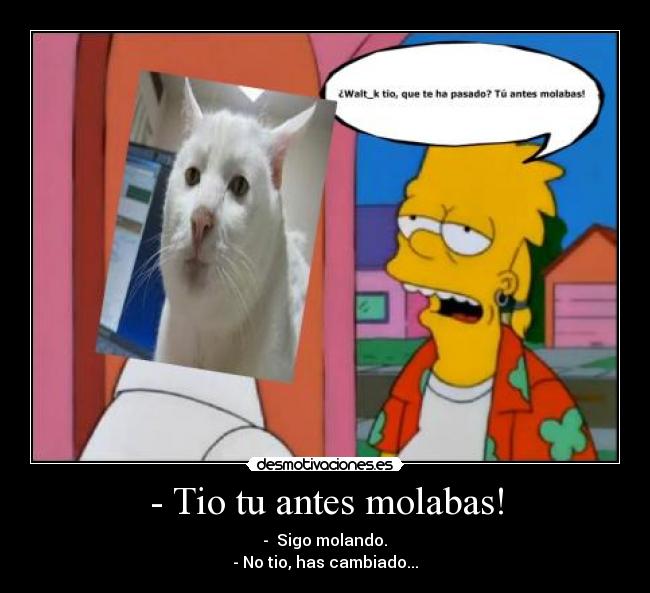 - Tio tu antes molabas! - 