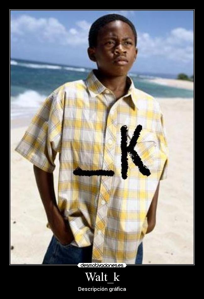 Walt_k - Descripción gráfica
