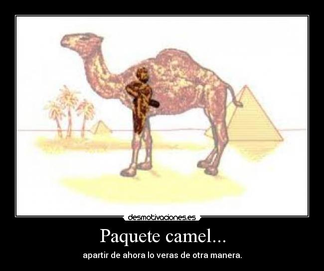 Paquete camel... -
