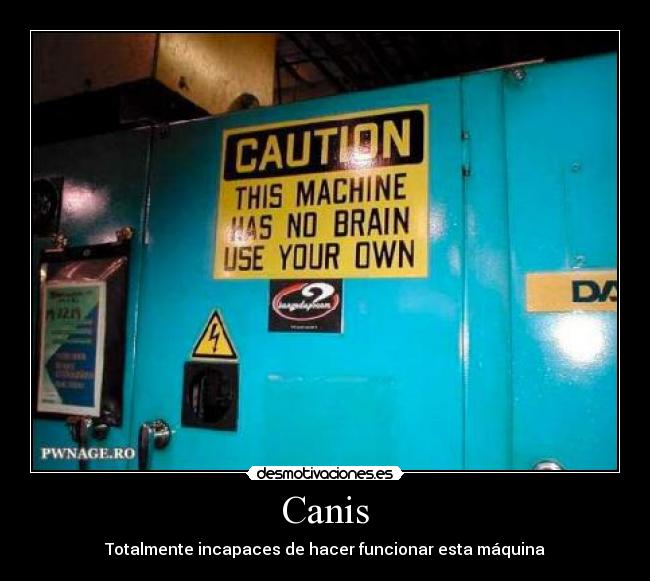 carteles canis totalmente incapaces hacer funcionar maquina cerebral pepino-1998 desmotivaciones
