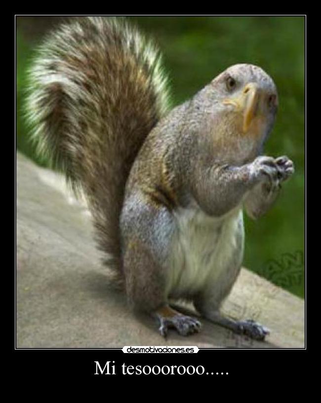 Mi tesooorooo..... -