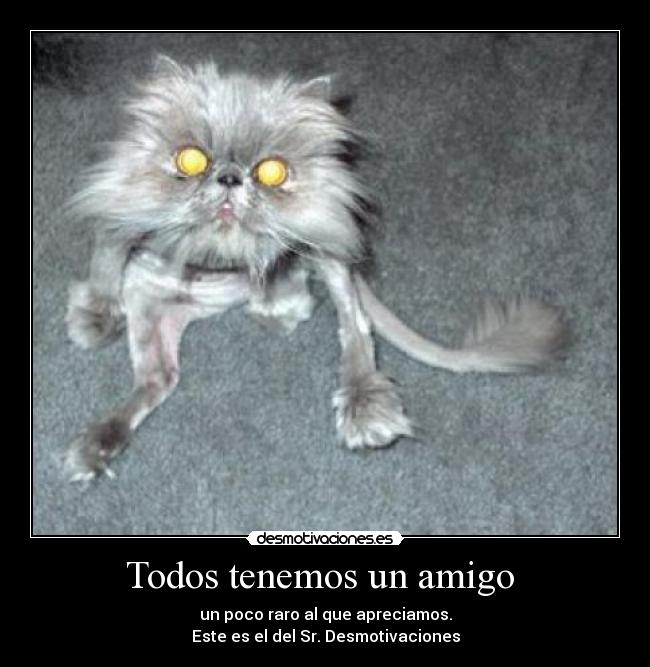 Todos tenemos un amigo  - un poco raro al que apreciamos.
Este es el del Sr. Desmotivaciones