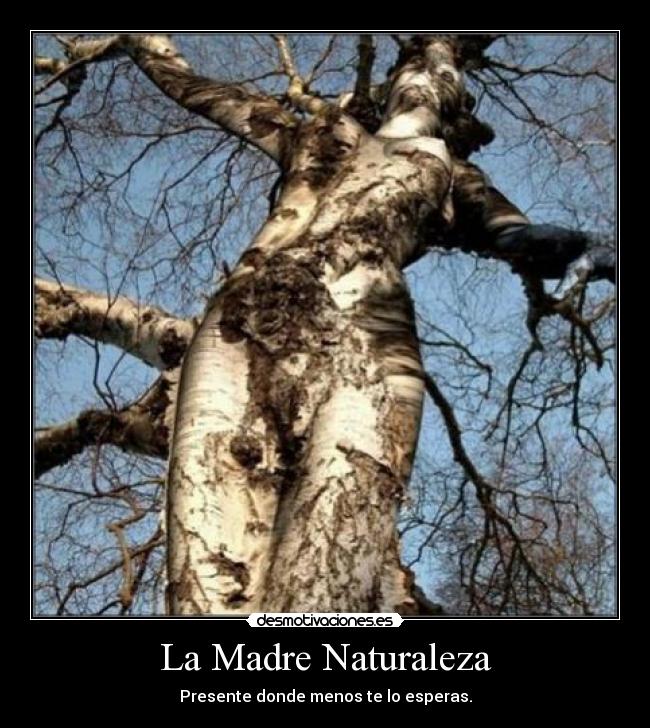 La Madre Naturaleza - Presente donde menos te lo esperas.