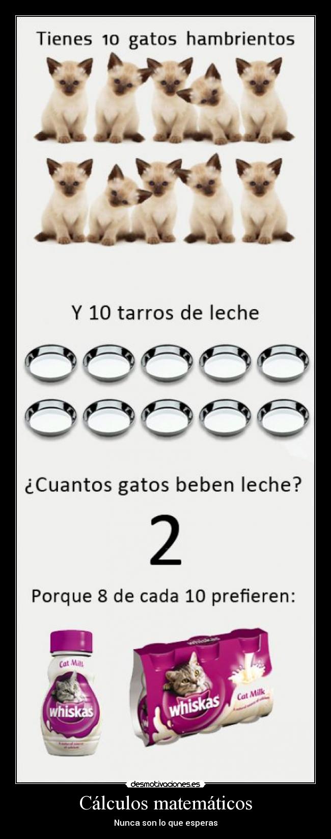 Cálculos matemáticos -