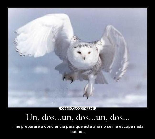 Un, dos...un, dos...un, dos... - ...me prepararé a conciencia para que éste año no se me escape nada bueno...