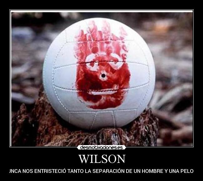 WILSON - NUNCA NOS ENTRISTECIÓ TANTO LA SEPARACIÓN DE UN HOMBRE Y UNA PELOTA