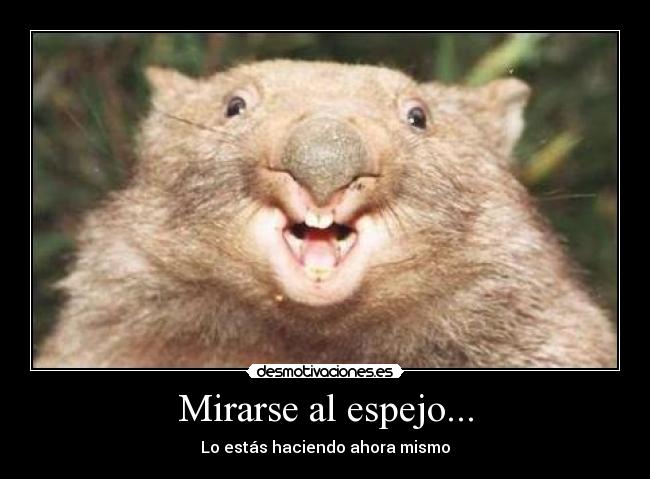 Mirarse al espejo... - 