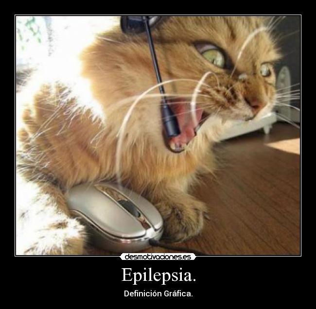 Epilepsia. - Definición Gráfica.