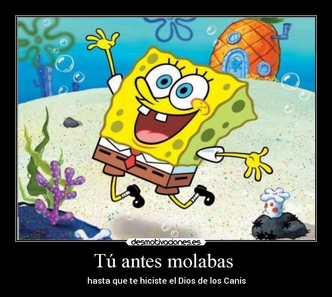 Tú antes molabas  - 