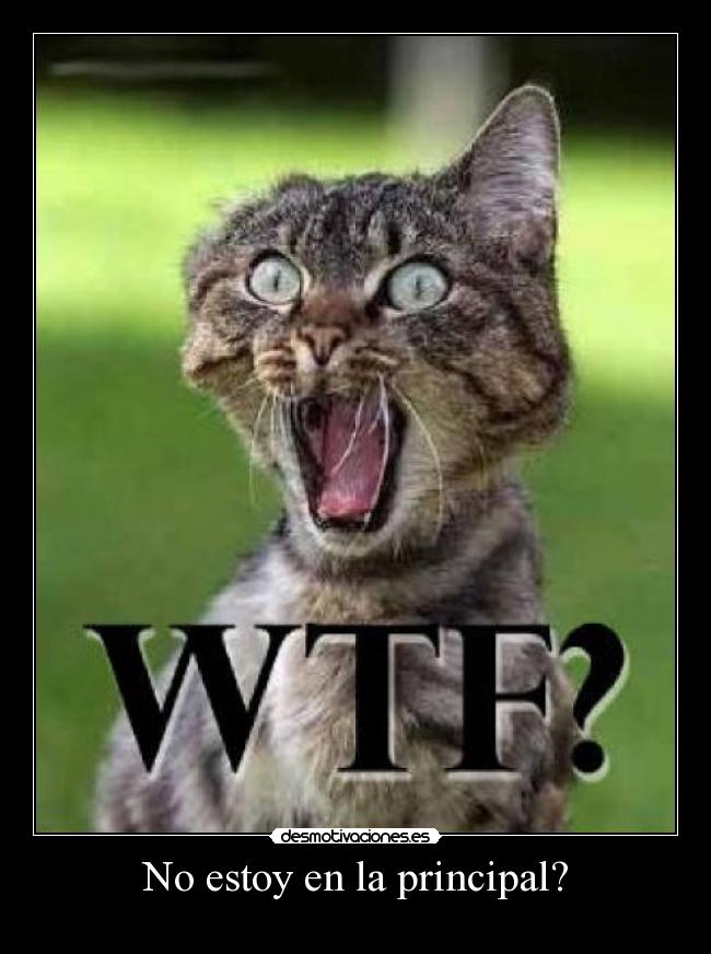 No estoy en la principal? -