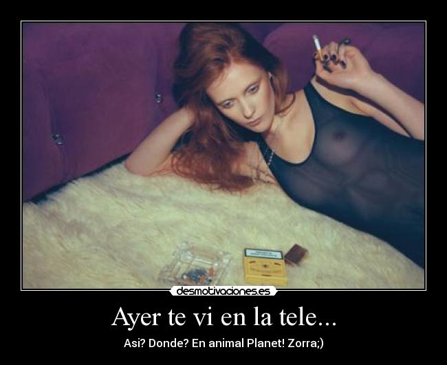 Ayer te vi en la tele... - Asi? Donde? En animal Planet! Zorra;)