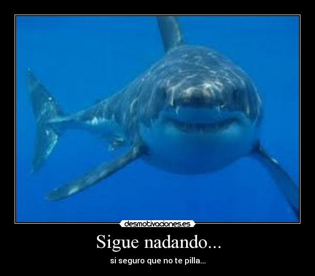Sigue nadando... -