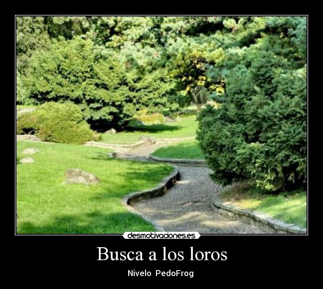 Busca a los loros - Nivelo PedoFrog