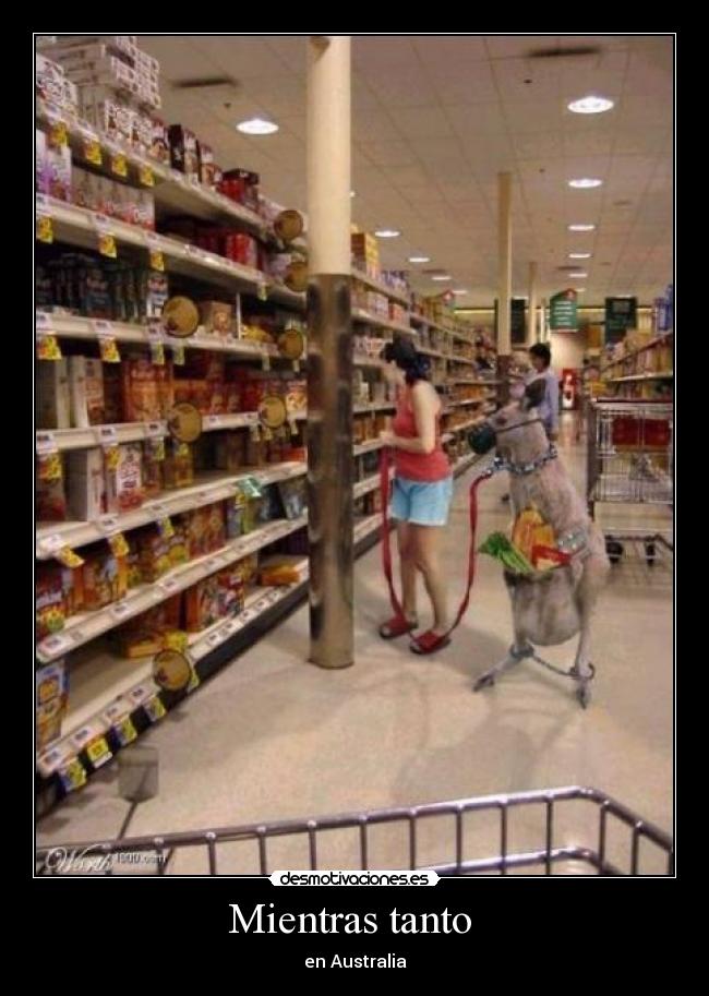 carteles  desmotivaciones