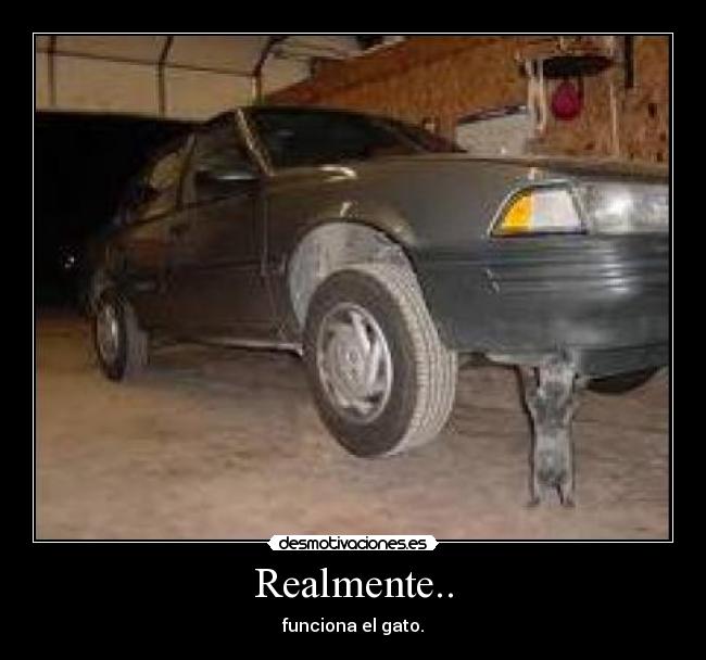 Realmente.. - funciona el gato.