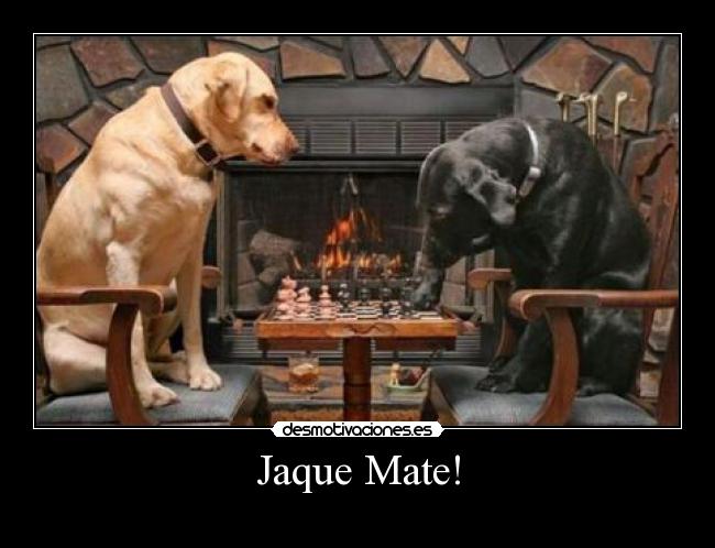 Jaque Mate! - 