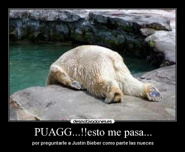 PUAGG...!!esto me pasa... - 