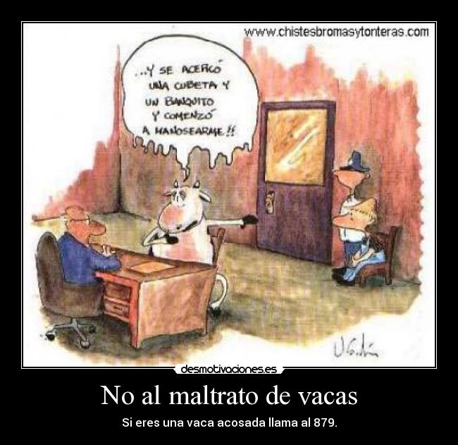 No al maltrato de vacas - 