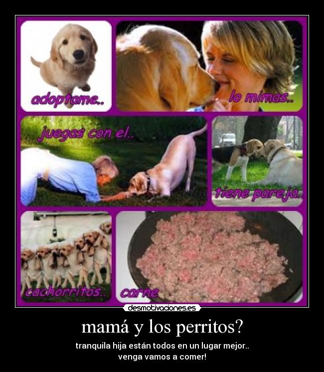 mamá y los perritos? -