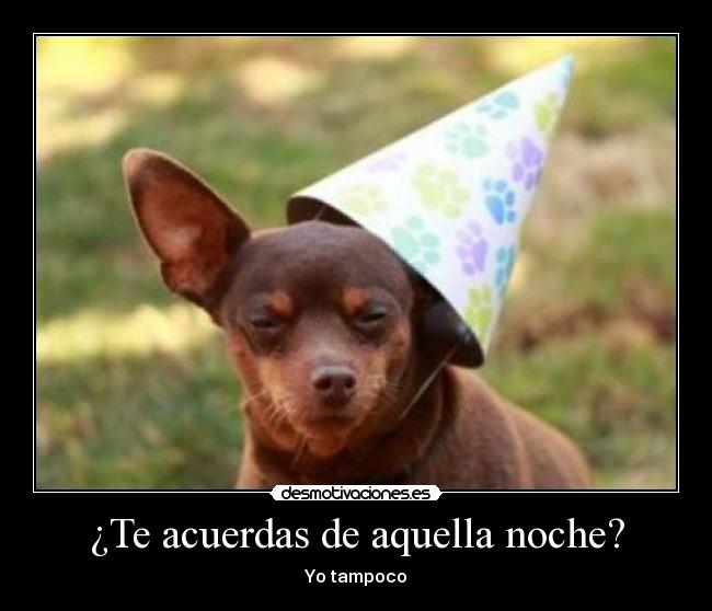 carteles xdd parida luckylucifer xdd desmotivaciones