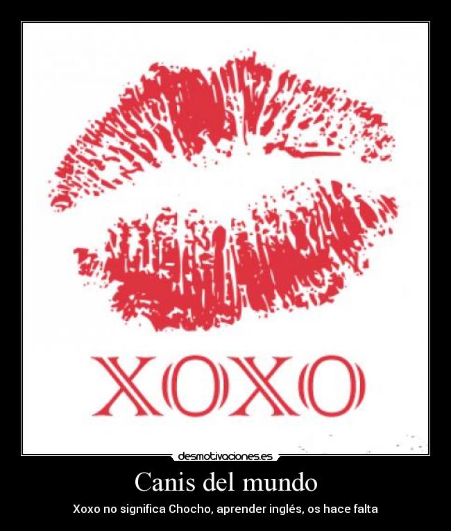 Canis del mundo - Xoxo no significa Chocho, aprender inglés, os hace falta