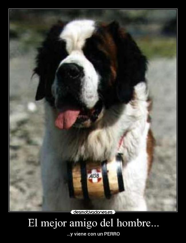 carteles fail desmotivaciones