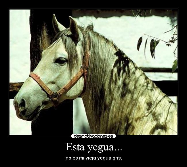 Esta yegua... -