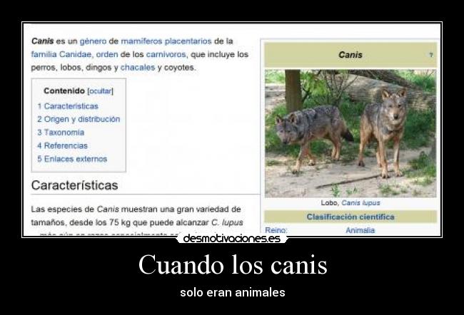 Cuando los canis - solo eran animales