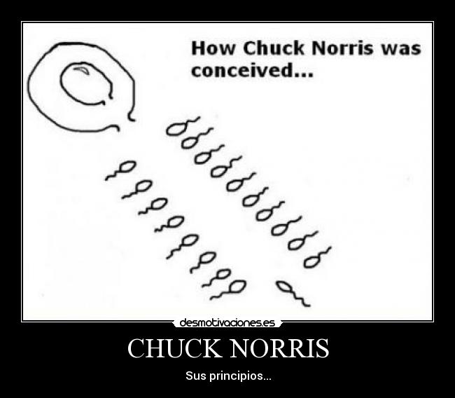 CHUCK NORRIS -