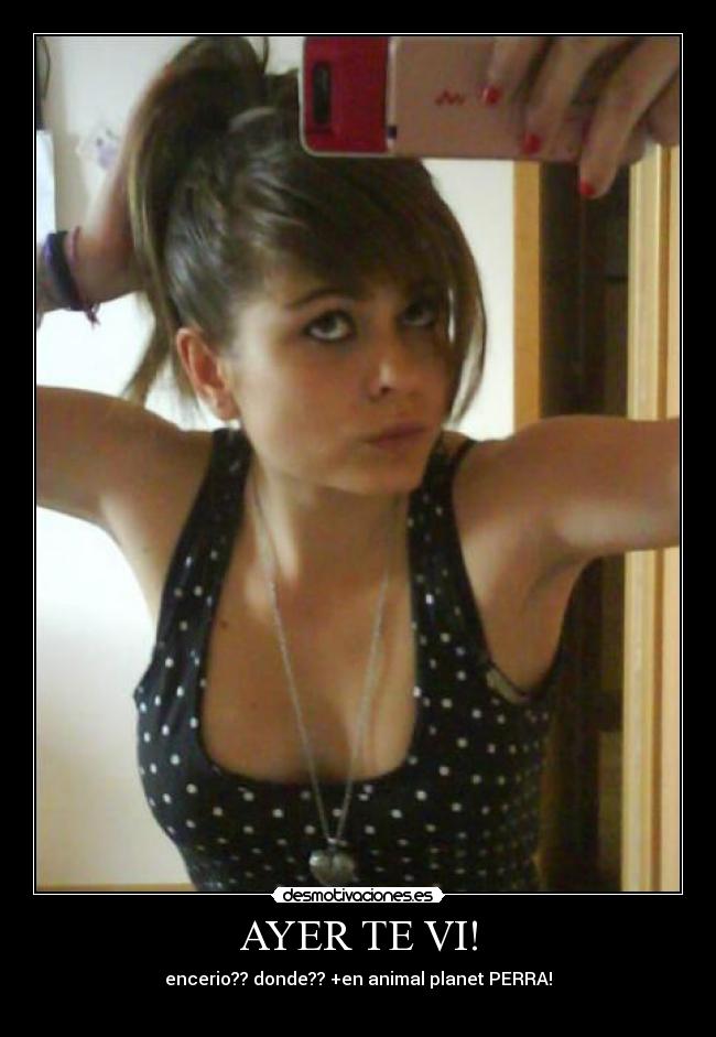 AYER TE VI! - 
